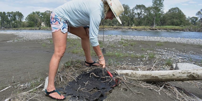 cleanup workers are gone but petroleum asphalt is still an issue in yellowstone river following derailment