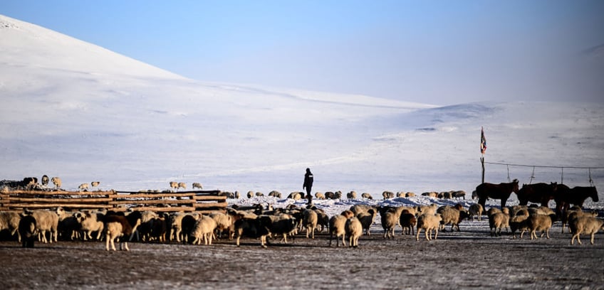 climate change accounts for mongolias deep freeze alarmists say