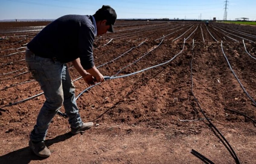 More than 88 percent of Berrechid's vast agricultural lands are not irrigated, with farmer