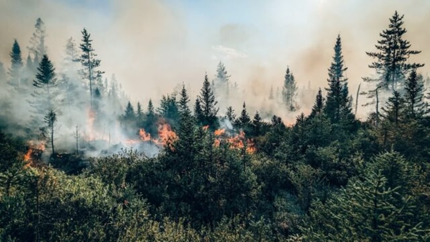 climate change supercharged fire weather behind canada blazes