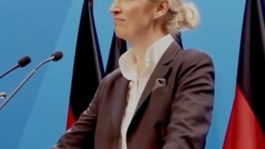 close the borders completely afds weidel calls for remigration at party conference