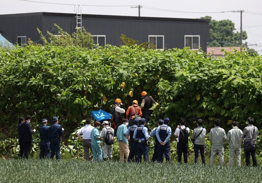 cnn blames climate change for record bear attacks in japan