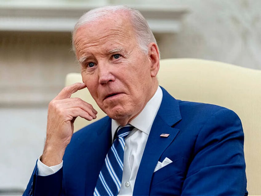 President Joe Biden meets with Indonesia's President Joko Widodo in the Oval Office of the White House, Monday, Nov. 13, 2023, in Washington. (AP Photo/Andrew Harnik)