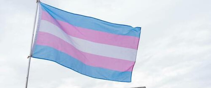 cnn retracts fact check over trumps transgender mice claim