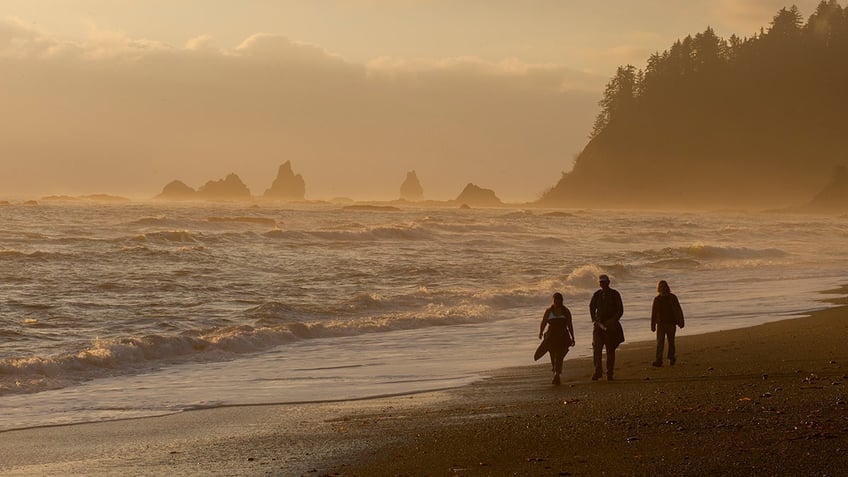 coast guard searching for woman swept by current off beach in washington