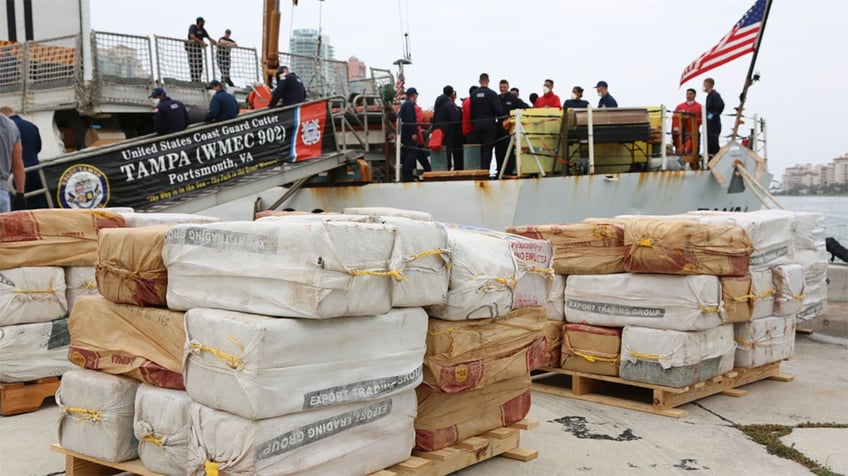 cocaine sharks may be feasting on bales of drugs off floridas coast