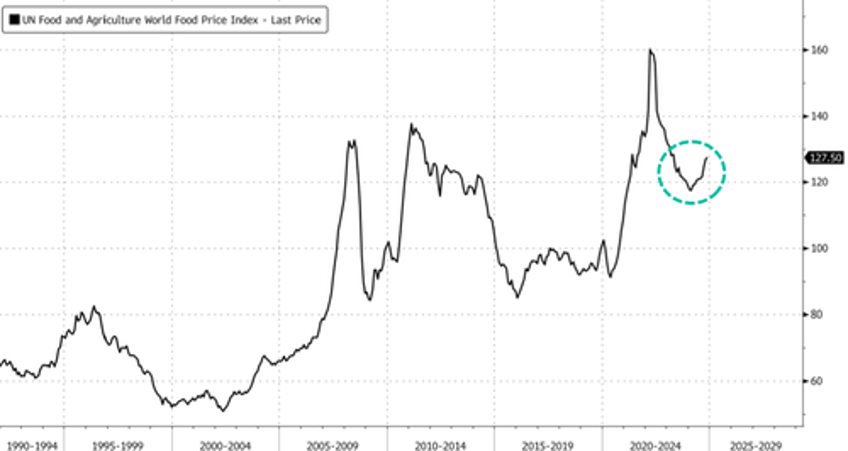 cocoa biggest commodity winner of year as food inflation enters dangerous territory