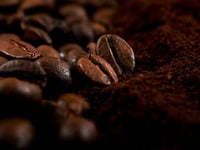 Coffee Compound May Help Counteract Age-Related Muscle Loss