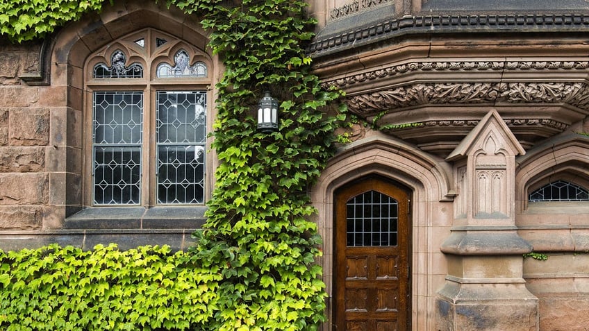 Princeton University ivy