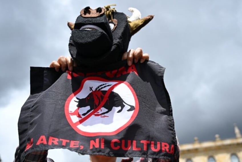 A man dressed as a bull attends a protest against bullfighting outside the Colombian Congr