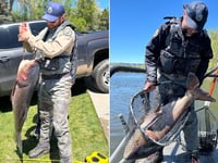 Colorado angler helps authorities crack down on gigantic invasive fish: 'Highly unusual'