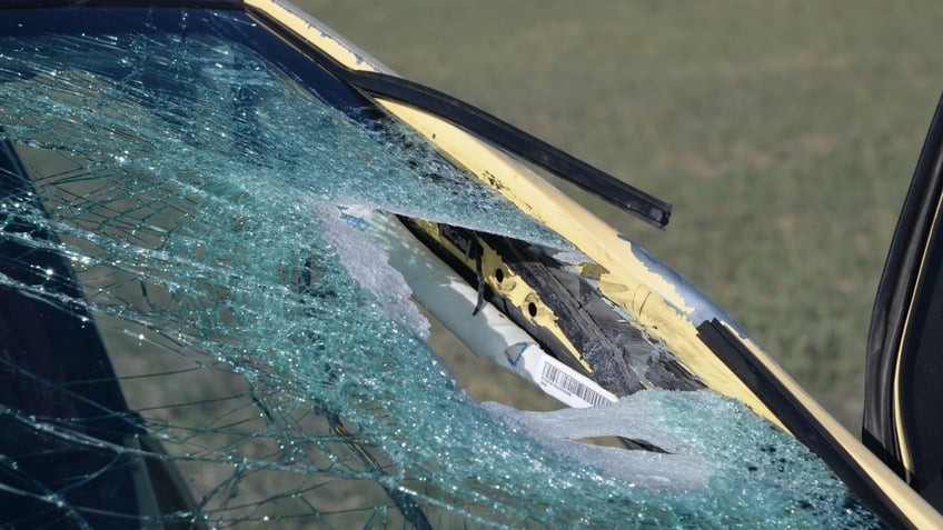 colorado blood brothers threw rocks at moving cars for 2 months before killing woman investigator