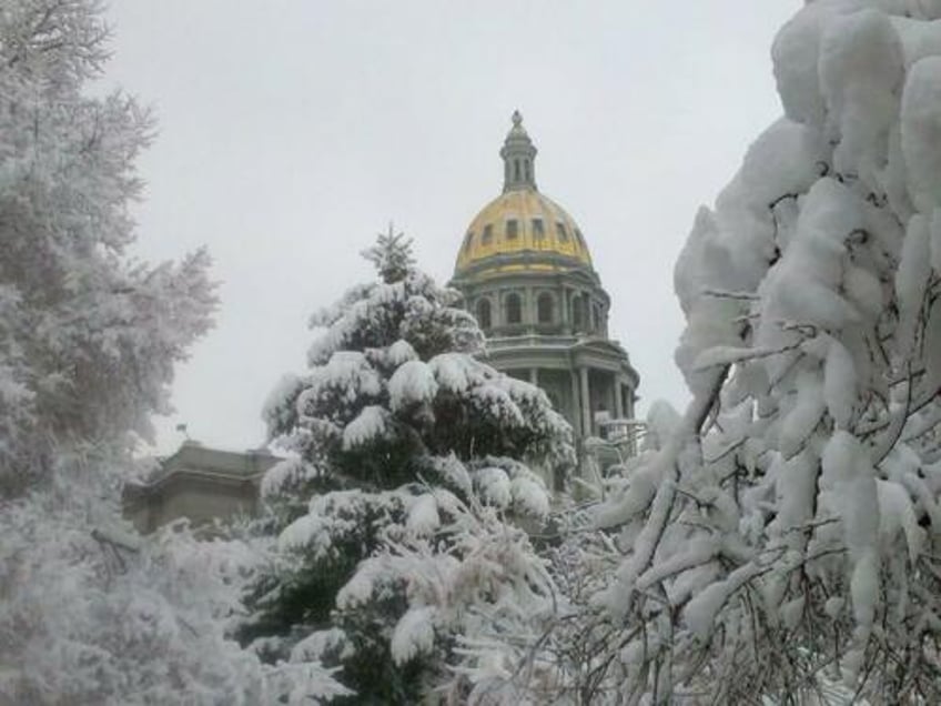 colorado could be the parental rights canary in the coal mine