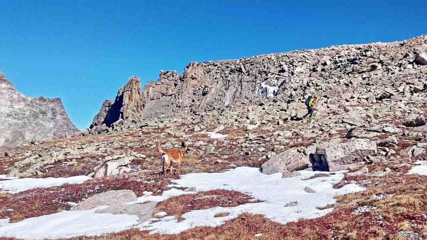 colorado hiker missing nearly 2 weeks in rocky mountain national park large scale search suspended