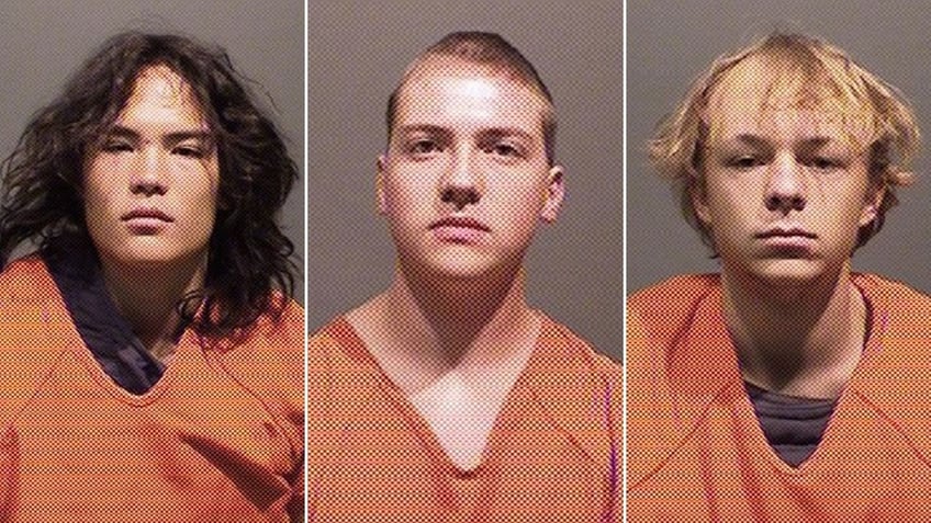 Joseph Koenig, Nicholas "Mitch" Karol-Chik and Zachary Kwak mugshots