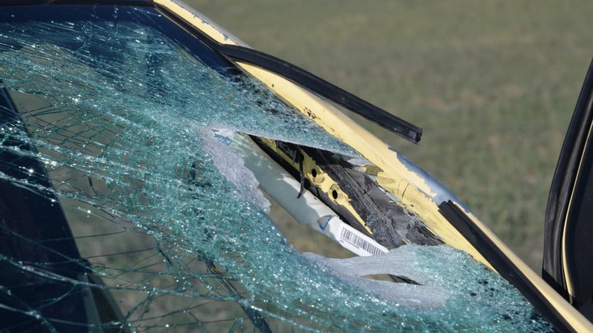 Alexa Bartell's windshield \