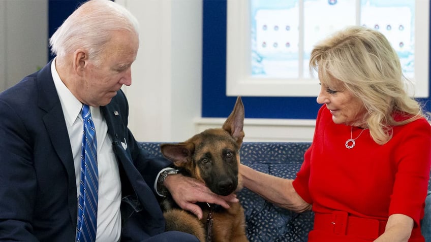 commander biden is getting the short end of the stick dog trainer