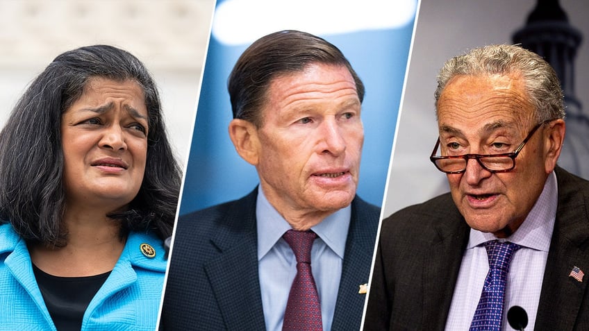 Pramila Jayapal, Richard Blumenthal, Chuck Schumer