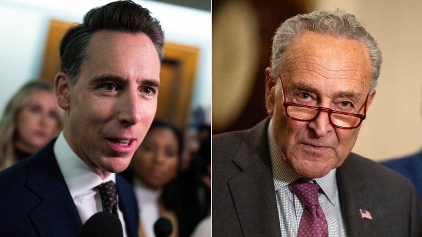 Hawley Schumer