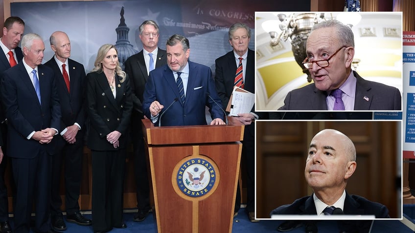 Republican senators, Chuck Schumer, DHS secretary Mayorkas