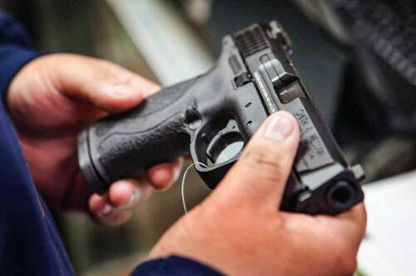 convicted non violent felons can own guns ninth circuit rules