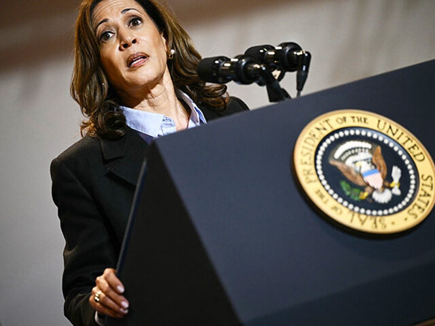 Vice President and Democratic presidential candidate Kamala Harris speaks during a campaig