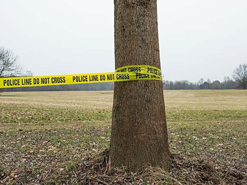 police tape tree