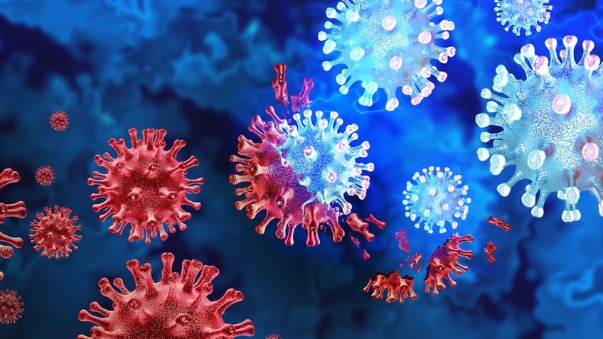 COVID and flu viruses