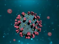 COVID Severity Not Affected By Viral Load Upon First Infection: Study