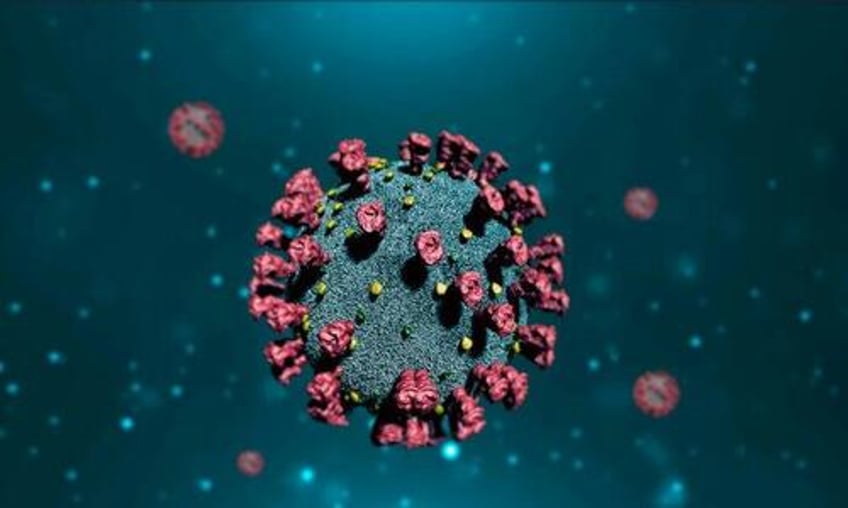 covid severity not affected by viral load upon first infection study