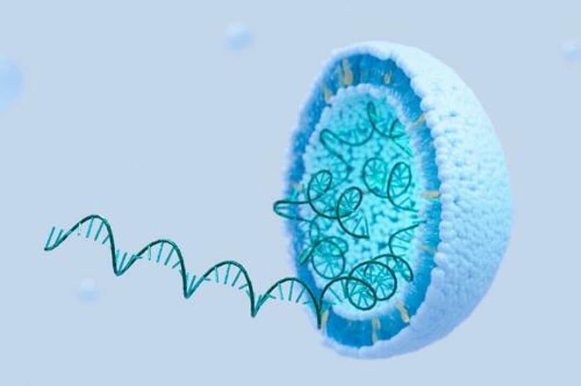 covid vaccine mrna can spread systemically to placenta and infants of women vaccinated during pregnancy