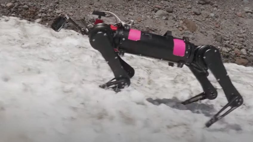 Crazy-strong robotic dogs gear up for rescue moon mission