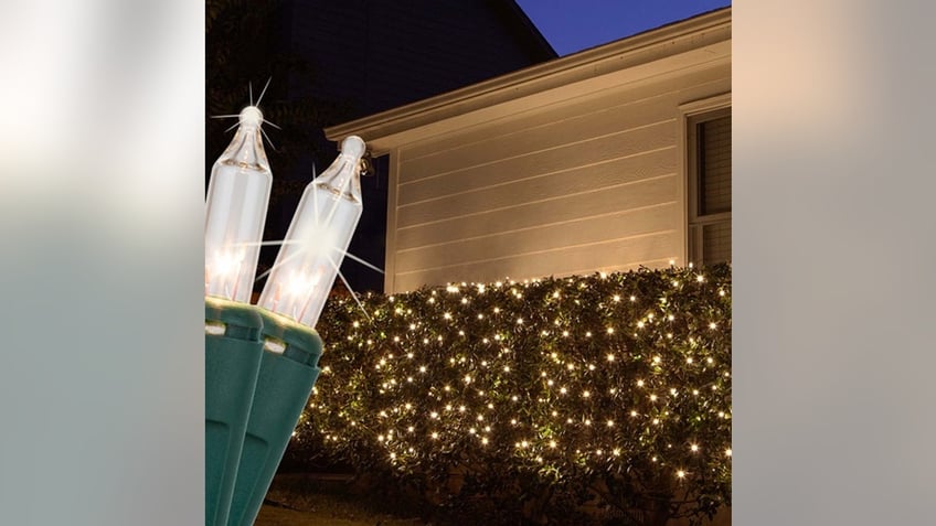 Net lights are a hassle-free option.