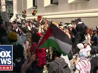 ‘CRIMINAL CONDUCT’: Anti-Israel protests underway across the US