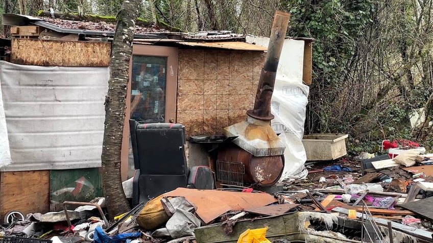 A shack made of found materials stands in the woods, surrounded by garbage