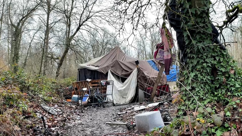 Tarps form a shelter in the woods