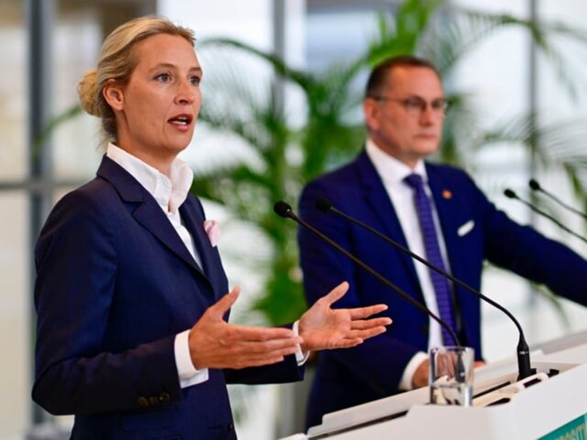 Co-leaders of the far-right Alternative for Germany (AfD) party Alice Weidel (L) and Tino