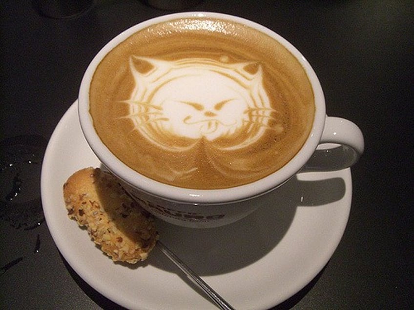 crumbs and whiskers los angeles to open first cat café