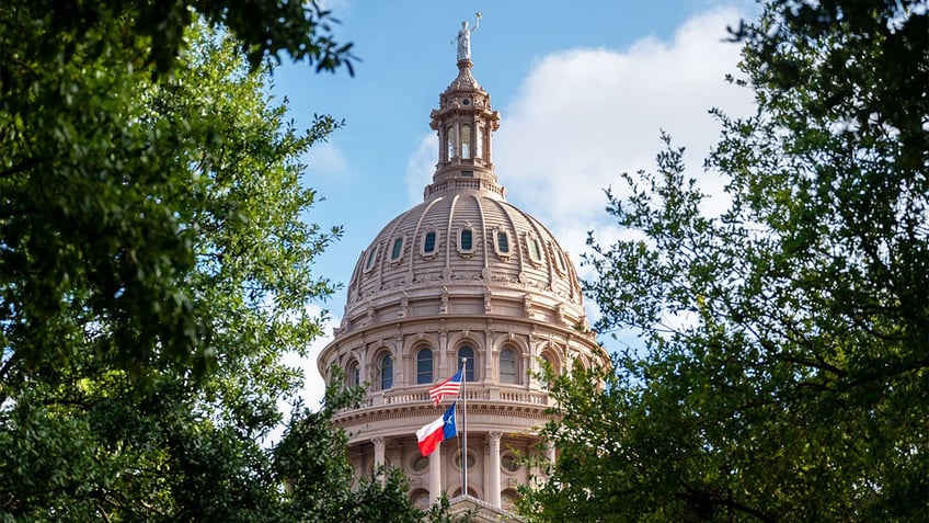 Texas Capitol dome seen framed by trees