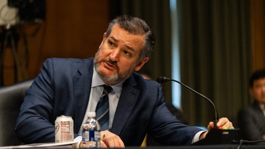 cruz demands answers from tsa over concerning deployment of air marshals to southern border