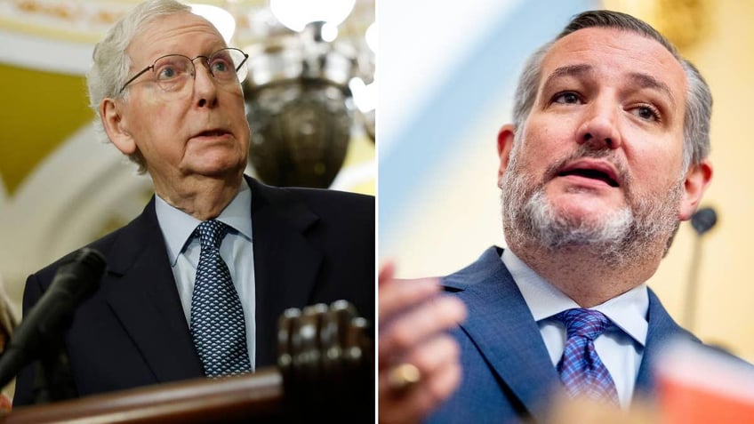 McConnell, Cruz photo split