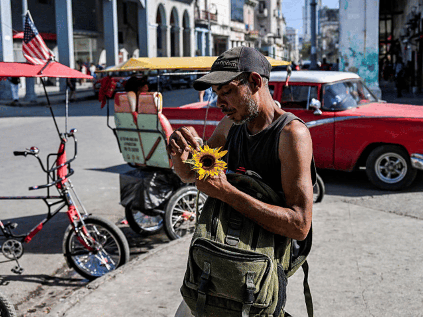 A man holds a sunflower in Havana on July 11, 2025, on the fourth anniversary of anti-gove
