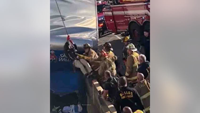 dallas truck driver rescued from vehicle hanging off bridge