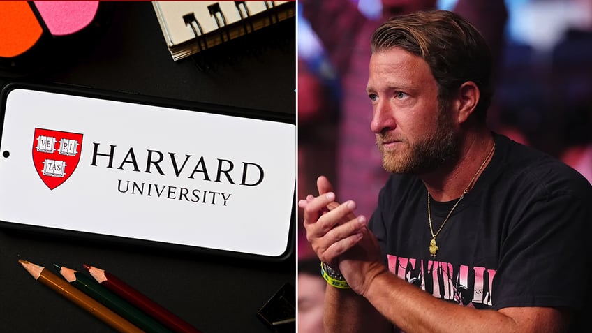 dave portnoy mocks harvard with parody hamas university t shirt logo in viral post