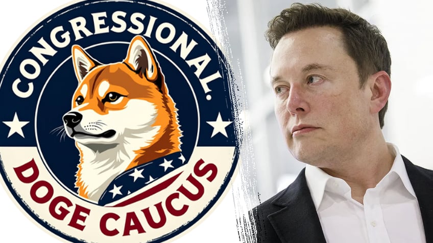 Elon Musk and DOGE Caucus logo