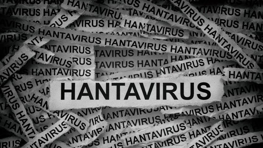 Hantavirus