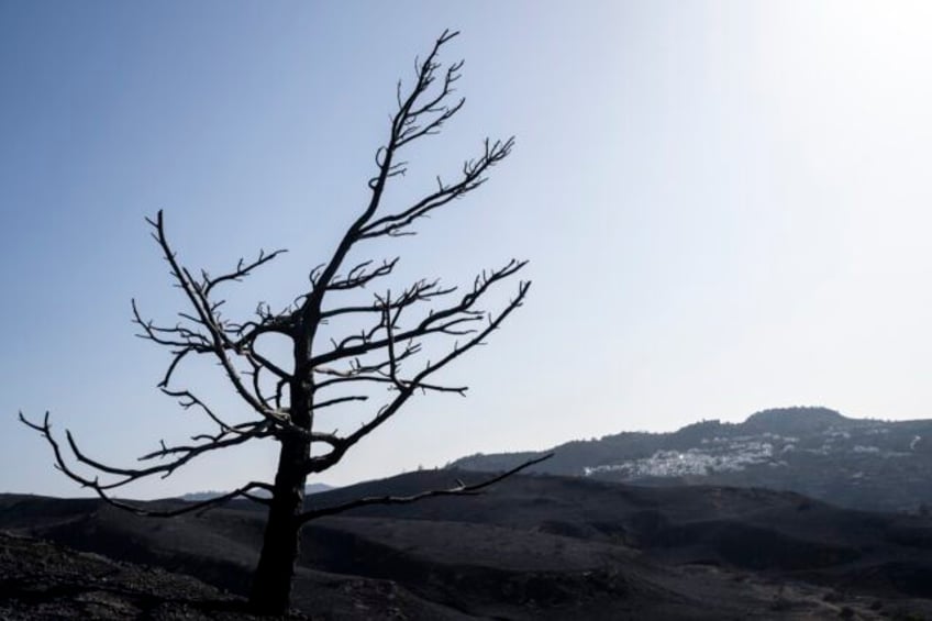 deadly wildfires across the mediterranean destroy homes threaten nature reserves