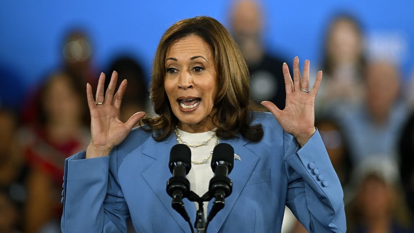 Kamala Harris in closeup shot at campaign event