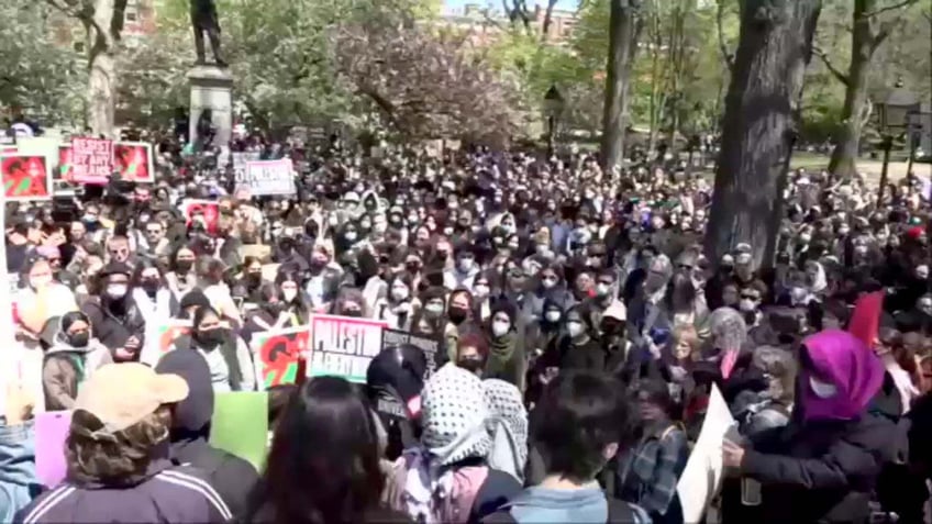 nyu protest in park