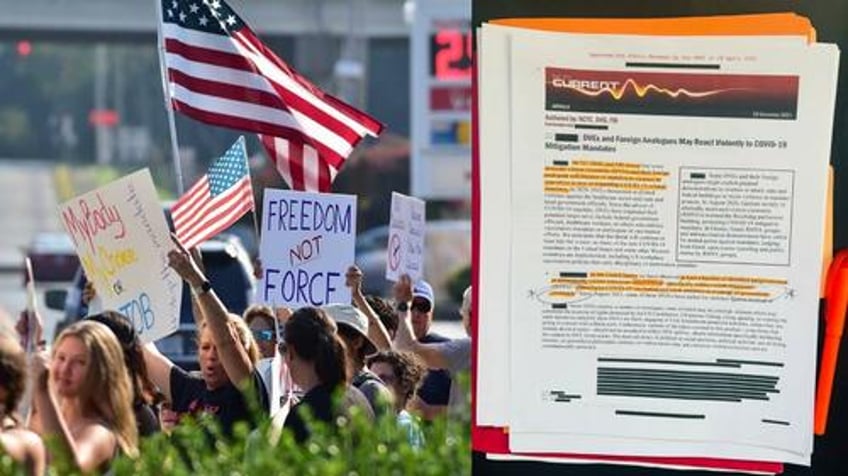 declassified biden admin labeled covid dissenters domestic violent extremists
